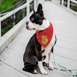 KC Tribe Pet Bandana